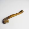 Great Auk Humerus